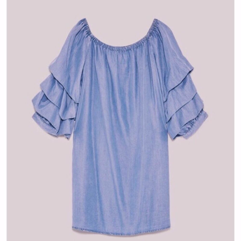 Cherie Chambray Dress - Picture 3 of 3